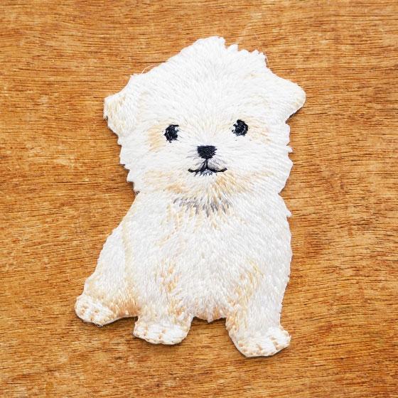 アップリケ アイロン ワッペン マルチーズ 女の子 男の子 入園