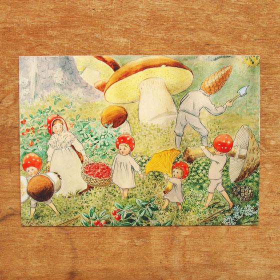 絶版 初版 絵本 地平線のかなたまで ヘルヤ リウッコ ポストカード2枚付き
