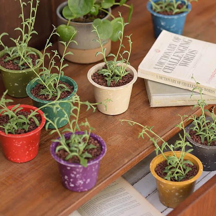 植木鉢andソーサー✳︎POT観葉植物✳︎園芸プランター 植木鉢and