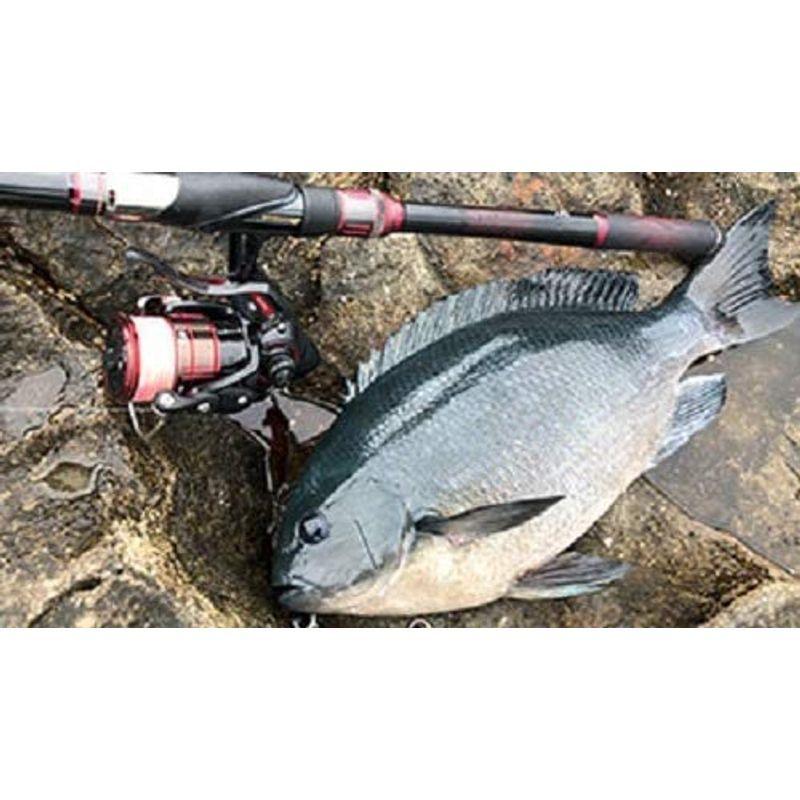 超特盛ミラクルプライス ダイワ(DAIWA) スピニングリール(レバーブレーキ) 19 シグナス 2500H-LBD (2019モデル) 【K2368161789】(14355円)