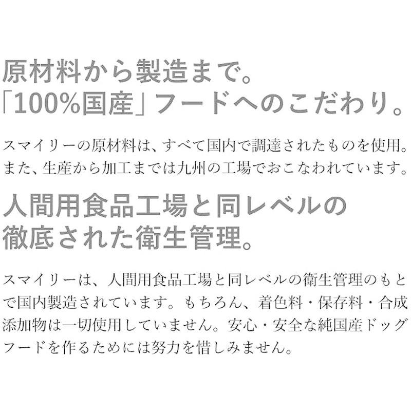 国産 ドッグフード 無添加 安全 smiley (スマイリー) まぐろ deli 5kg (500g×10) 