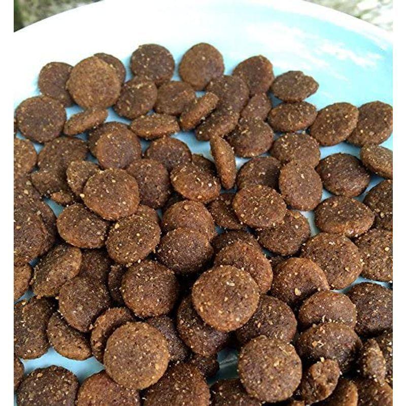 クプレラ ホリステイック グレインフリー 9.08kg 08kg