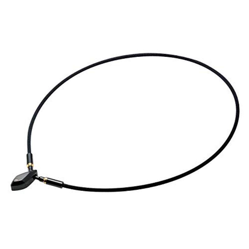 phiten(ファイテン) ネックレス RAKUWAネックX100 ペンダントトップ