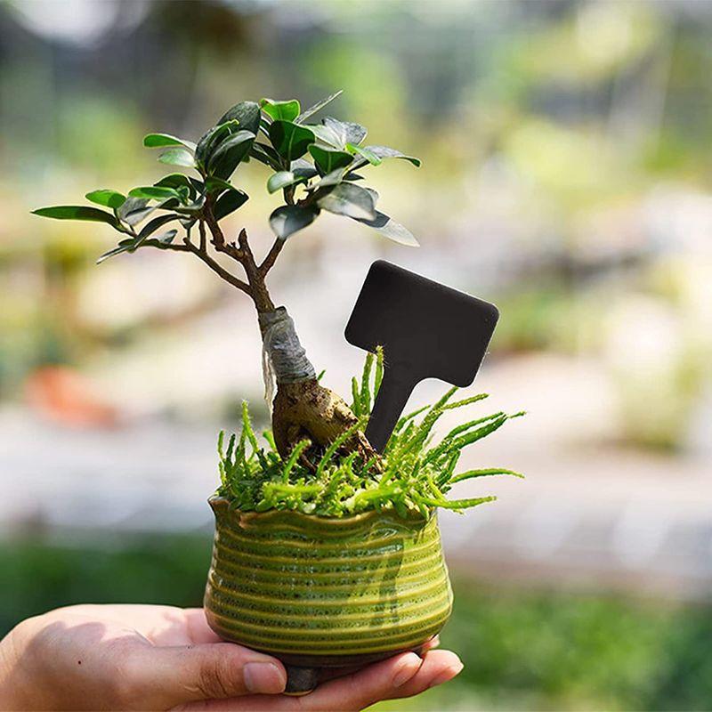 直送商品 ささのはストアincreway植物ラベル 1pcs黒プラスチック防水植物マーカーtタイプタグ鉢植え 庭の花のための保育園の庭のラベル Redoriente Net