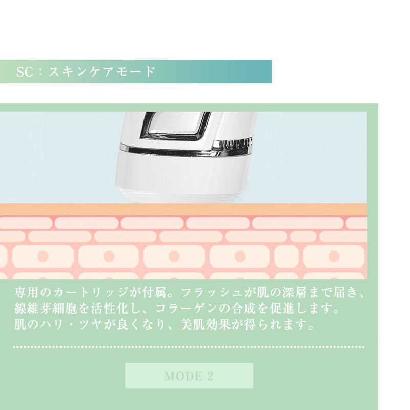 脱毛器 IPL光脱毛器 光美容器 美肌 交換用カートリッジ付き 5段階調節