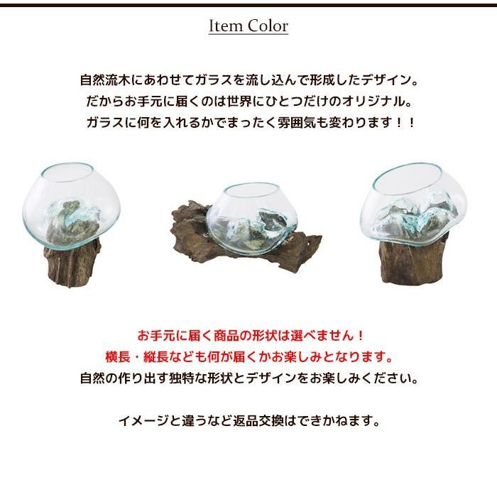 ガラス鉢 流木 プランターオブジェ 置物 オブジェ 天然木 エア ガラス鉢 流木 プランターオブジェ 置物 オブジェ 天然木 エア
