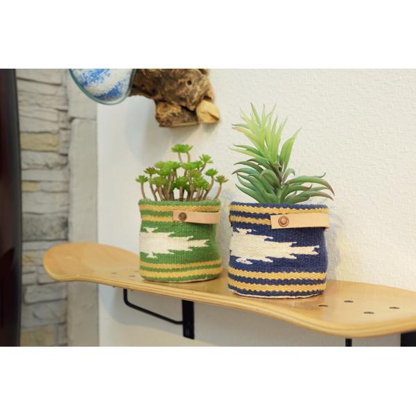 ⭐︎Diamond★　おまとめ　カクタスパーチ　３本 ⭐︎Diamond☆ おまとめ カクタスパーチ 3本 カクタスパーチS