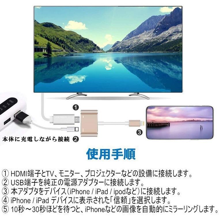 Iphone Hdmi 日本全国 送料無料 変換ケーブル Ipad 変換 ケーブル テレビ 接続ケーブル 大画面 Ios14対応 Avアダプタ 高画質 フルhd 1080p プロジェクタ 変換アダプタ