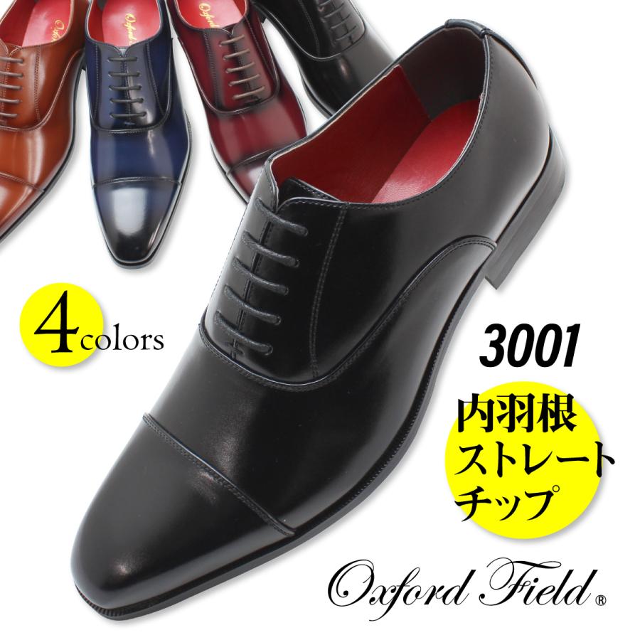 ビジネスシューズ 革靴 メンズ 2足セット フォーマルシューズ 福袋 ストレートチップ モンクストラップ ネイビー ワイン 大きいサイズ 28cm 29cm 30cm | Oxford Field | 23