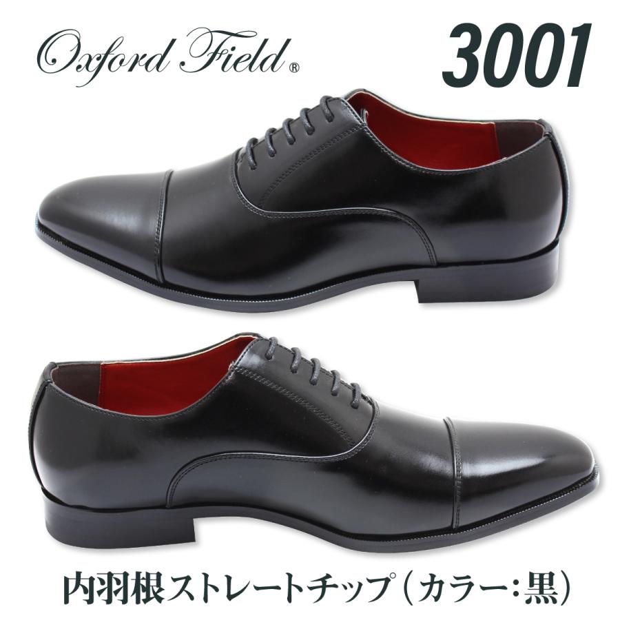 ビジネスシューズ 革靴 メンズ 2足セット フォーマルシューズ 福袋 ストレートチップ モンクストラップ ネイビー ワイン 大きいサイズ 28cm 29cm 30cm | Oxford Field | 24