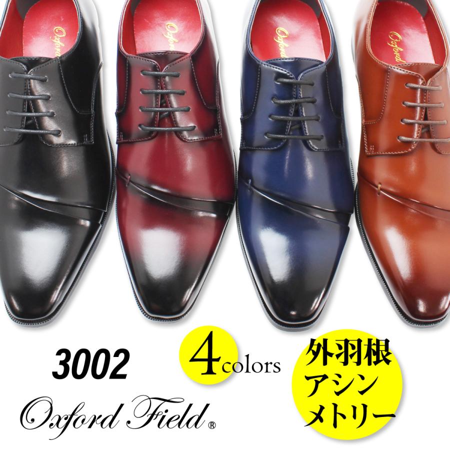 ビジネスシューズ 革靴 メンズ 2足セット フォーマルシューズ 福袋 ストレートチップ モンクストラップ ネイビー ワイン 大きいサイズ 28cm 29cm 30cm | Oxford Field | 26