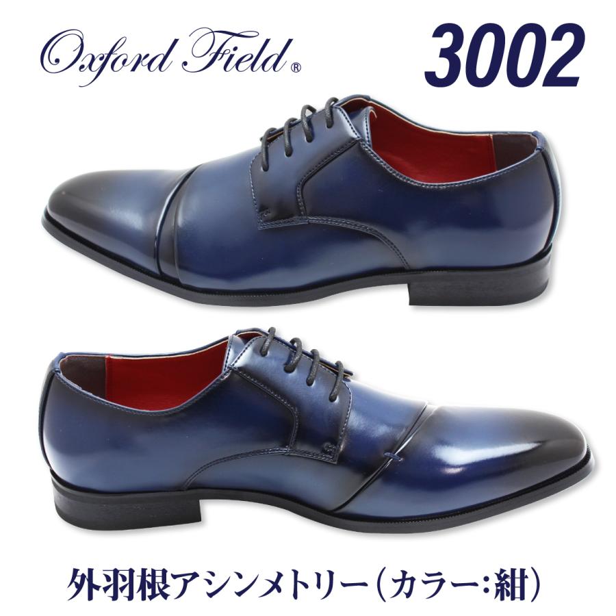 ビジネスシューズ 革靴 メンズ 2足セット フォーマルシューズ 福袋 ストレートチップ モンクストラップ ネイビー ワイン 大きいサイズ 28cm 29cm 30cm | Oxford Field | 27