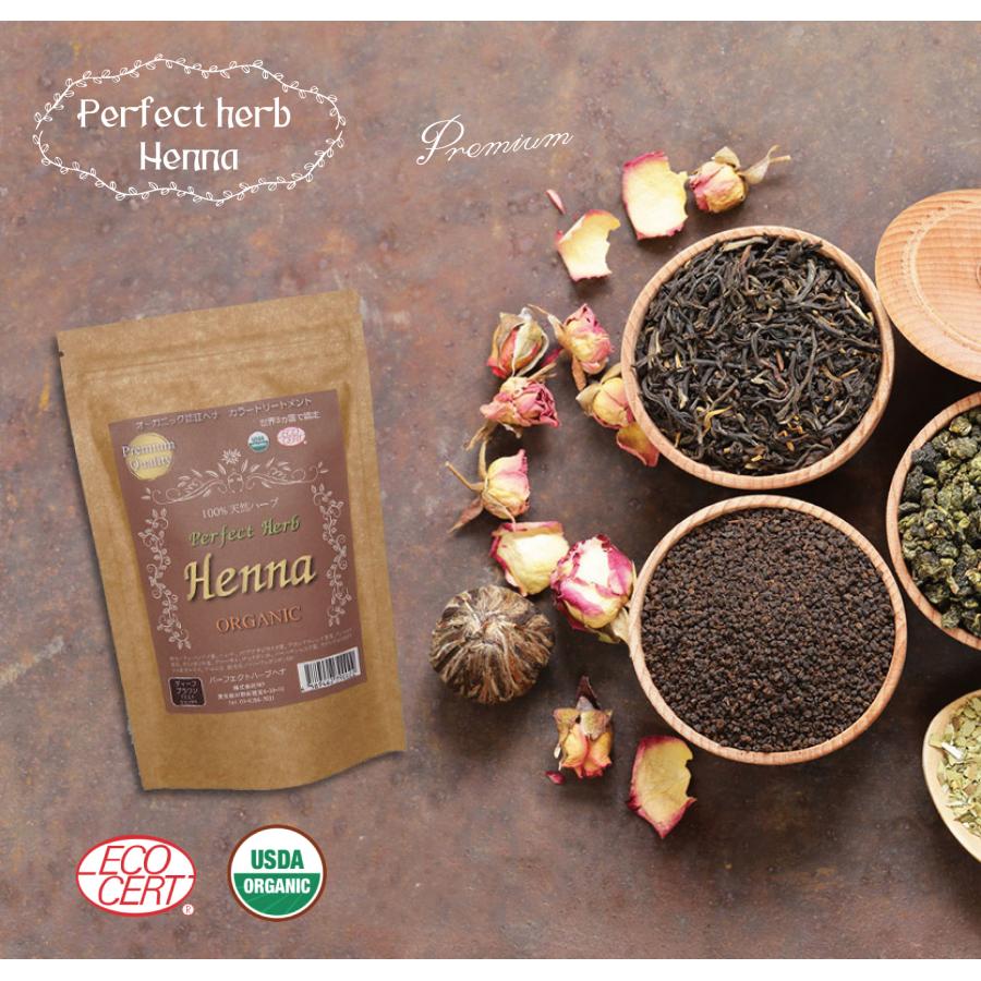 パーフェクトハーブヘナ ピュアオレンジ 100g 送料無料 : スモール