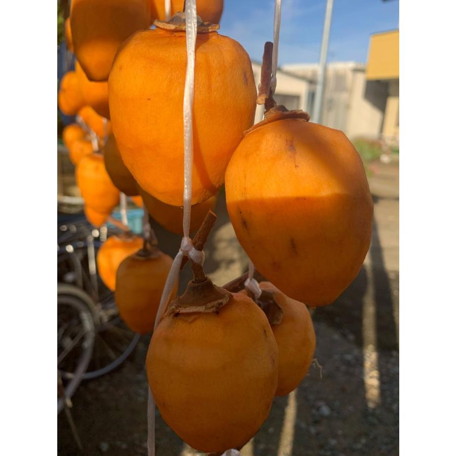 【ミックス】同梱　訳ありまどんな5Kg　×愛宕柿　中・大玉10Kg 中玉】愛媛県産愛宕柿10キロ L-2Lサイズ 干し柿用 訳あり・ご家庭用