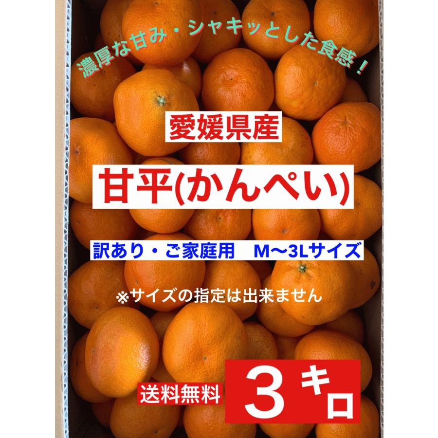 【送料無料】愛媛産　甘平　かんぺい　３L　約10ｋｇ（5ｋｇｘ2箱） 愛媛オリジナル品種の希少柑橘・甘平をお値打ち価格で販売中【訳あり10kg】 果物