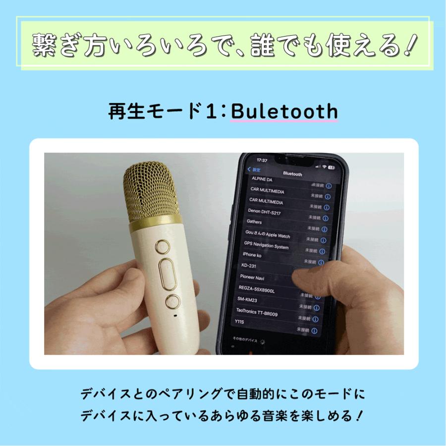 Smaly（スマリー） 2024新型 ミニ カラオケセット マイク2本付き 小型