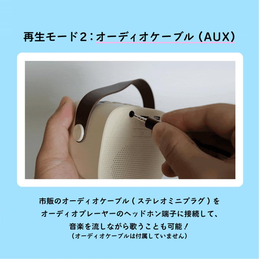 Smaly（スマリー） 2024新型 ミニ カラオケセット マイク2本付き 小型
