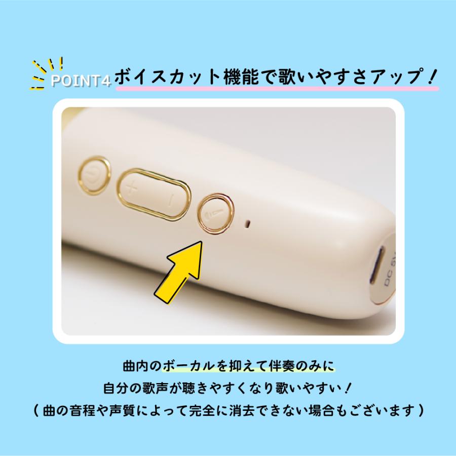 Smaly（スマリー） 2024新型 ミニ カラオケセット マイク2本付き 小型