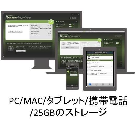 ★WEBROOT ウェブルート インターネット セキュリティコンプリート (2年間)|smart-contents|03