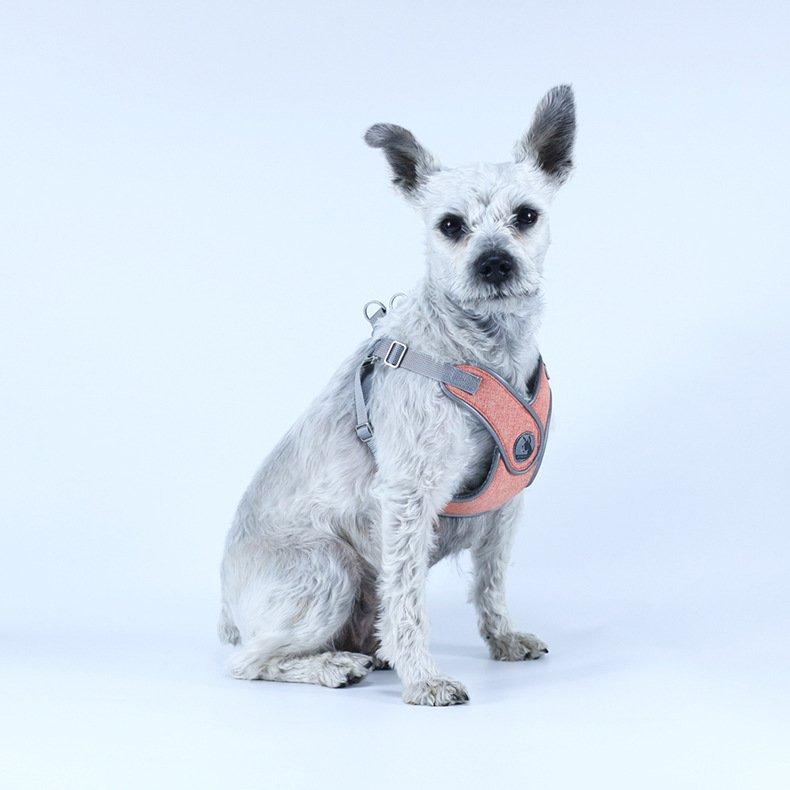 犬 猫 ハーネスリード付き 脱げない 苦しくない おしゃれ ペット服 胴輪 犬 ハーネス 犬用リード 愛犬 お散歩 ペット用品 丈夫 小型犬 中型犬 おしゃれ メッシュ rQ7hkp910W 猫 犬 ハーネス リード 脱げない ペットウェアハーネス痛くない L ブラック