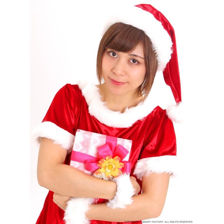 コスプレ サンタ ドレス プリティ 衣装 パーティー イベント 仮装