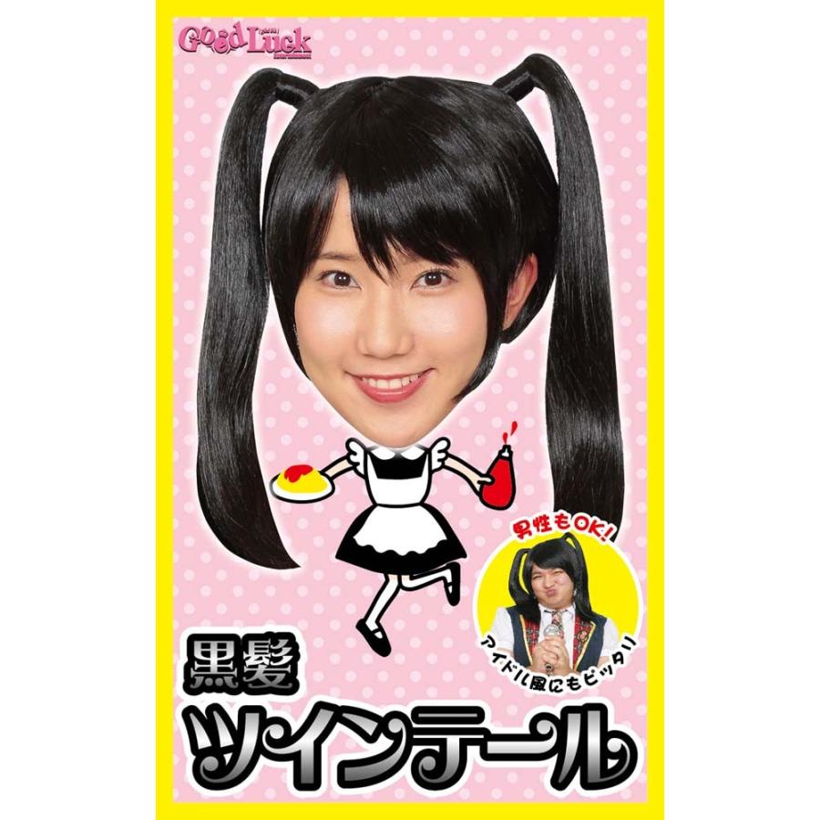 コスプレ かつら カツラ ウィッグ カツランド 黒髪ツインテール ツインテール おさげ アイドル メイド アキバ系 秋葉原 変装 衣装 コスチューム 自転車通販 スマートファクトリー 通販 Paypayモール