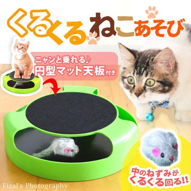 倍 倍 ストア 5 猫 おもちゃ くるくる猫遊び ペット用品 猫用品 ペット 1人遊び ペットグッズ ペット用品 ネコ ねこ クリスマス プレゼント 自転車通販 スマートファクトリー 通販 Paypayモール