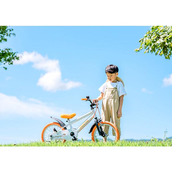 GRAPHIS（自転車） 子供用自転車 16インチ 補助輪 4歳 5歳 6歳 7
