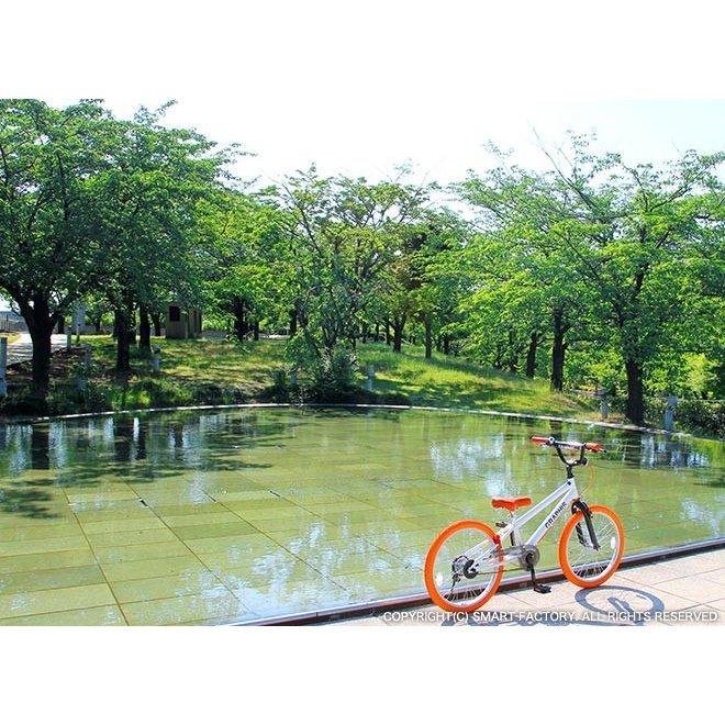 子供用自転車 20インチ BMX タイプ 4色 子供自転車 男の子 子供 幼児 キッズ ストリート 通学 | GRAPHIS（自転車） | 17