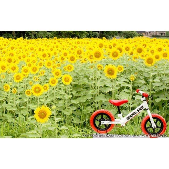 ペダルなし自転車 2歳 3歳 4歳 5歳 ブレーキ付き 男の子 女の子 幼児用 子供自転車 ペダル無し自転車の画像