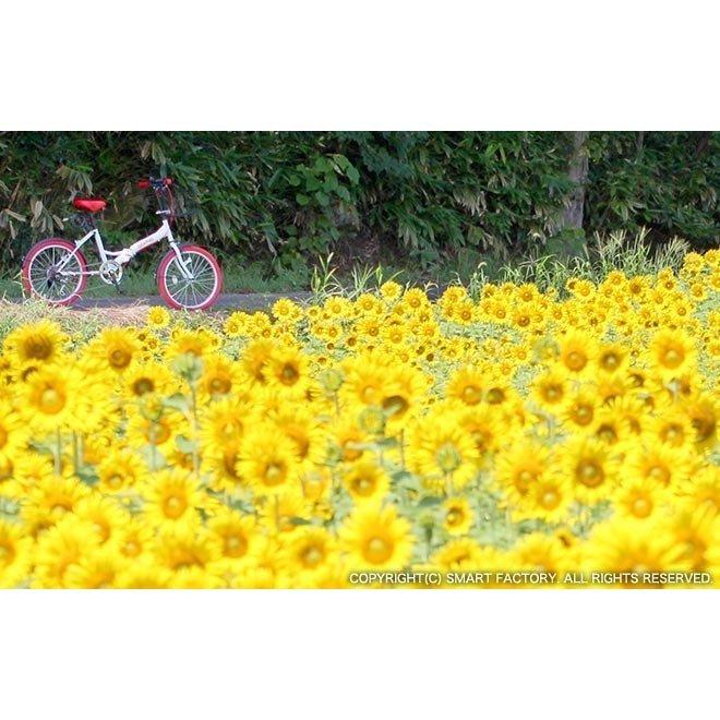 自転車 折りたたみ 20インチ ワンランク上の 折りたたみ自転車 シマノ 6段変速 鍵 ライト カゴ ミニベロ