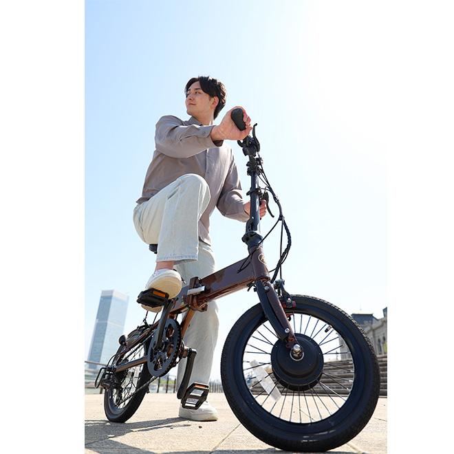 電動アシスト自転車 16インチ 【期間限定クーポン】 折りたたみ