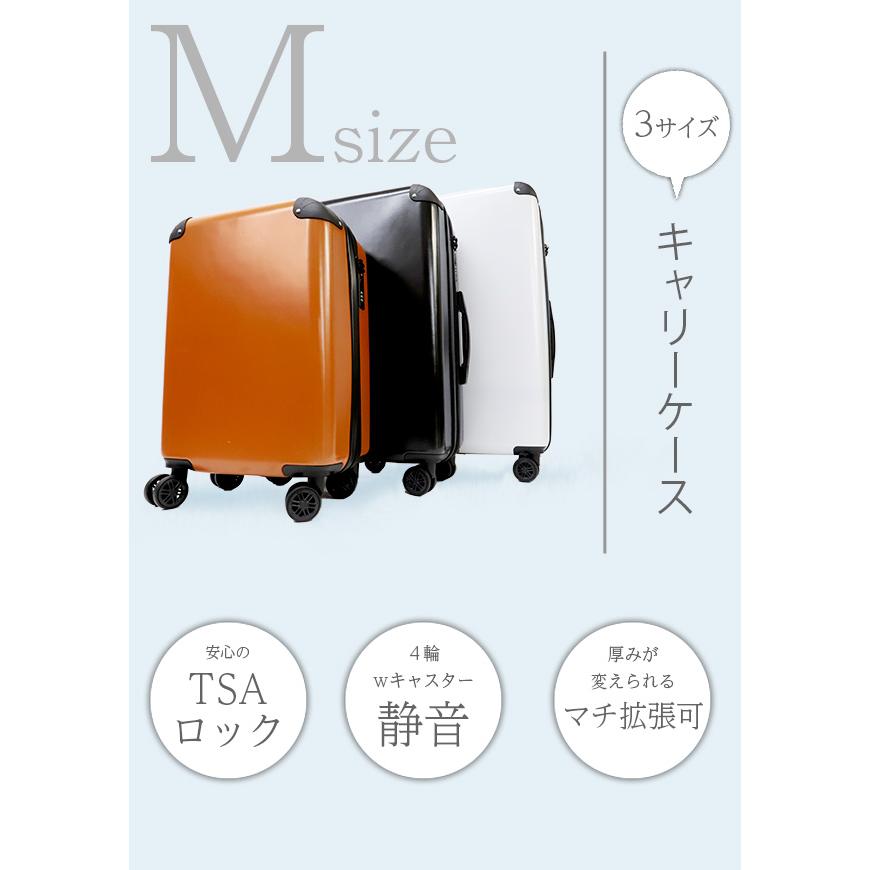 ヒロ・コーポレーション キャリーバッグ 容量拡張 機内持込 静音 TSA