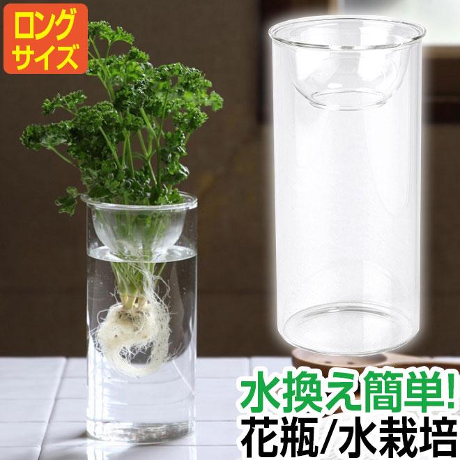 ガラス鉢 花瓶 ガラスベース 水栽培 ガラスポット 観葉植物 球根 BULB VASE クリア ロング（Yahoo!・自転車通販 スマートファクトリー）