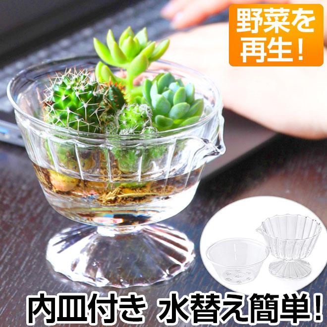 花瓶 ガラス 鉢 リボベジ ガラス カップ Lサイズ クリア 水耕栽培 ガラスカップ 水栽培 食器 Spc Kegy2113 自転車通販 スマートファクトリー 通販 Yahoo ショッピング
