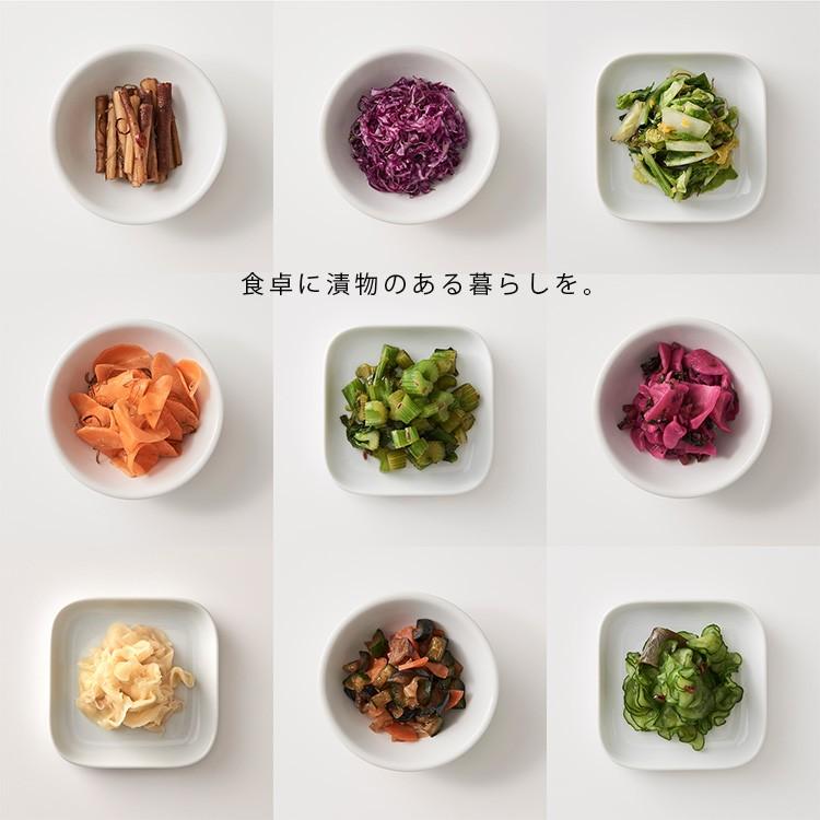 Picklestone115 漬物瓶 ピクルストーン115 漬物石 おしゃれ ガラス製  