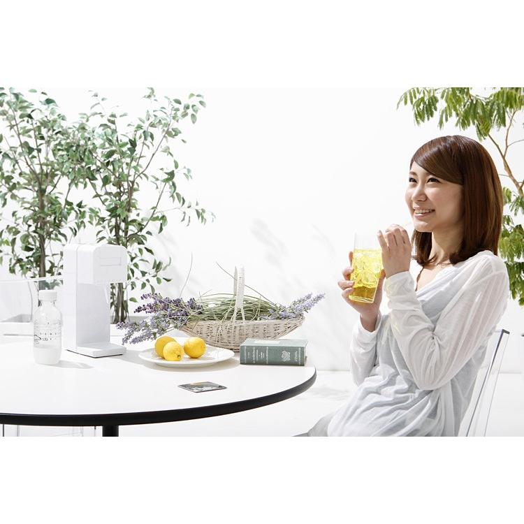 SODAMINI ソーダミニ 予備用ガスシリンダー 海外× : SmartKitchen