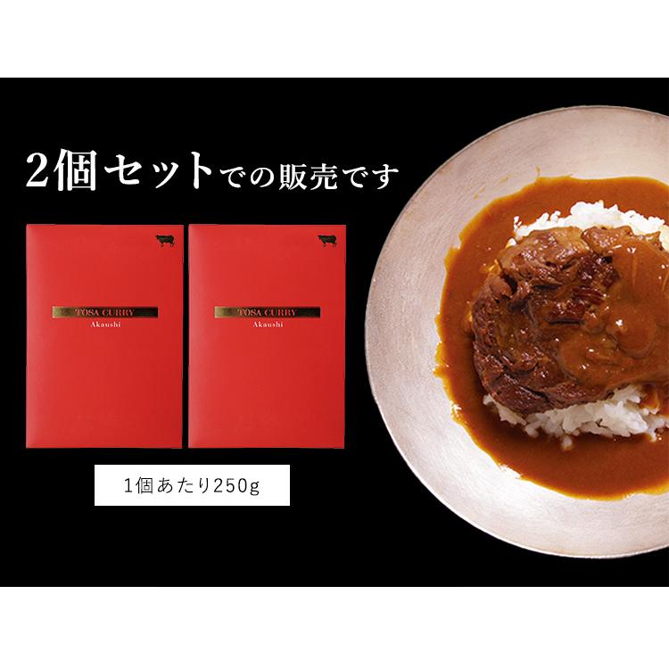 （予約）2個セット Tosa Curry Akaushi （250g×2） 土佐あかうし レトルトカレー  メール便可  食品A(DM) 海外×｜smart-kitchen｜13