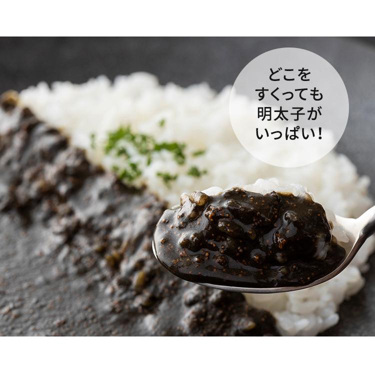 THE KURO 明太子とイカ墨の黒カレー 5個セット （150g×5） 福ふく レトルトカレー  食品A(DM) 海外×｜smart-kitchen｜04