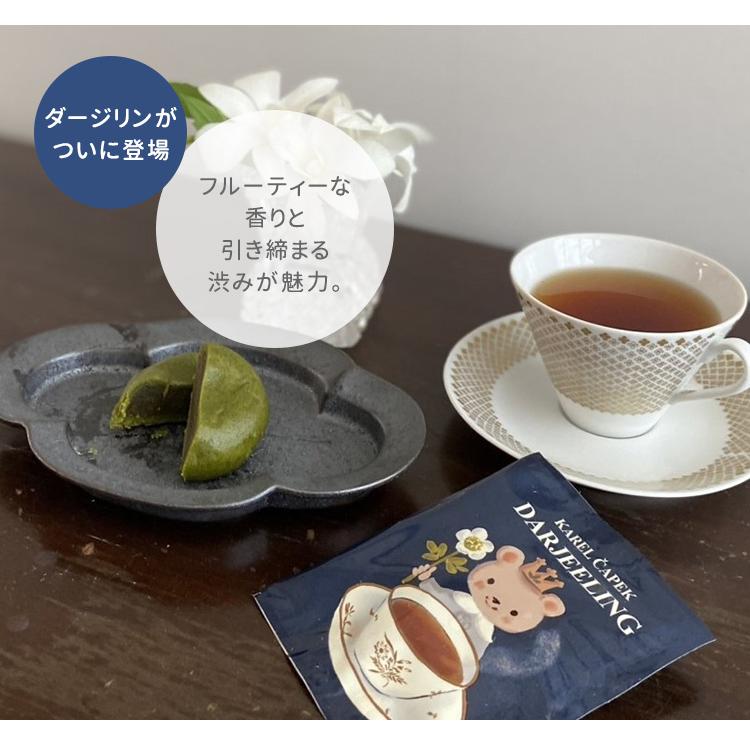 カレルチャペック ダージリン 個包装カップ用ティーバッグ10P カレルチャペック ダージリン 個包装カップ用ティーバッグ10P
