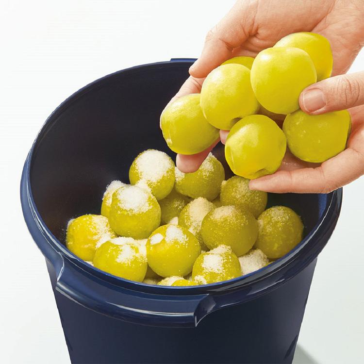 正規販売店 タッパーウェア マキシデコレーター 5.5L 正規販売店 タッパーウェア マキシデコレーター 5.5L