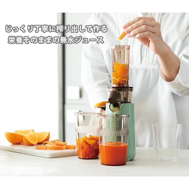 新品recolte コールドプレスジューサー ミニ RCJ-1(W) recolte（レコルト） コールドプレスジューサーミニ （RCJ-1