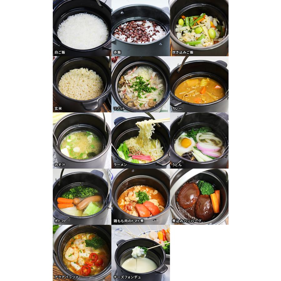 究極のごはん鍋HACHI 2合炊き（ステンレス取っ手付） ハチ C2 ご飯鍋