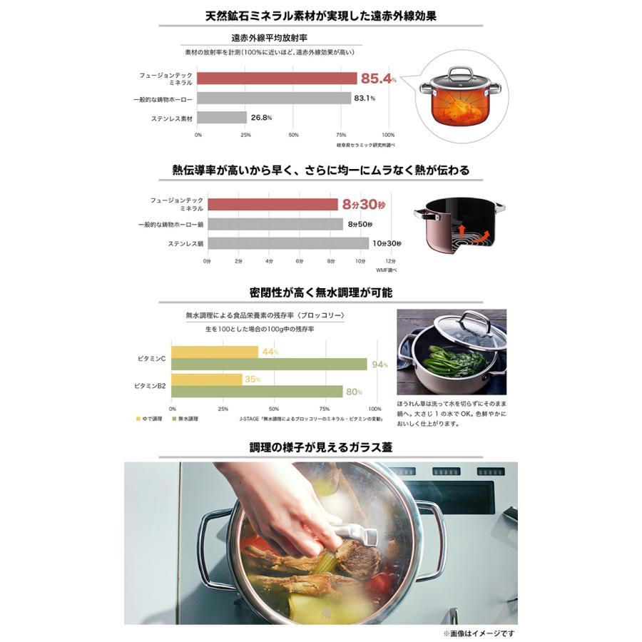 WMF フュージョンテック ミネラル ロースター 28cm （4.2L 鍋 両手鍋