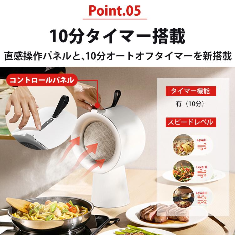 エアフード Airhood2 AH-190J／Airhood AH-01AJ （本体 替えフィルター