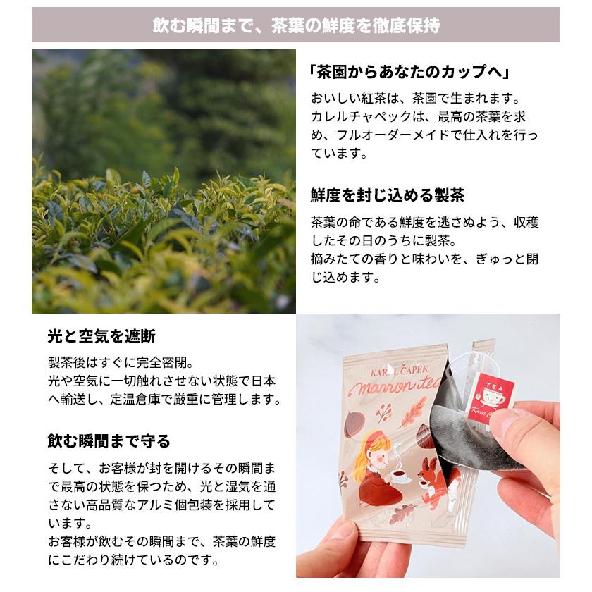 カレルチャペック紅茶店　ティーバッグ110パックとラッピング袋10枚 楽天市場】【定番紅茶ギフト】ギフト缶 ティーバッグ10枚 │ラッピング