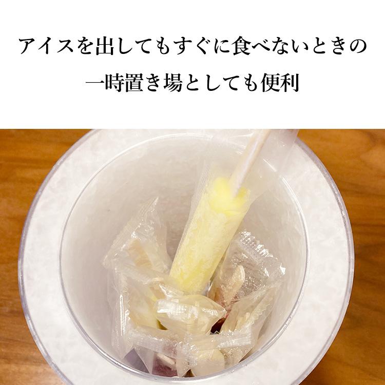 IceRock （ボトルクーラー アイスペール 氷不要 水不要 電源不要 