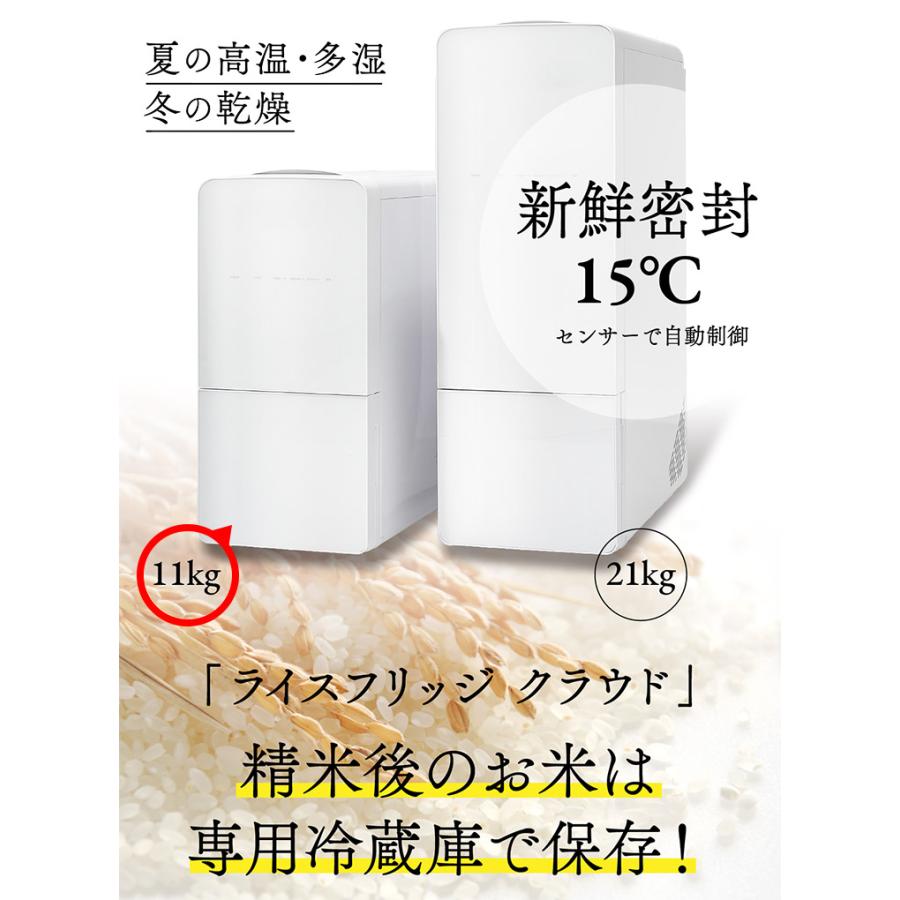 UD ライスフリッジ クラウド 白米11kg （最新型 保冷 米びつ 10キロ お