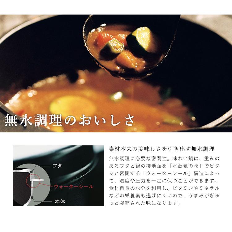 味わい鍋 両手 22cm （3.2L 4合 AJ-103 アルミ鋳物 1台12役 日本製 両手鍋 蓄熱 熱伝導 炊飯 揚げる 焼く蒸す 煮る シンプル 無水調理 フッ素加工 PFOAフリー）の画像
