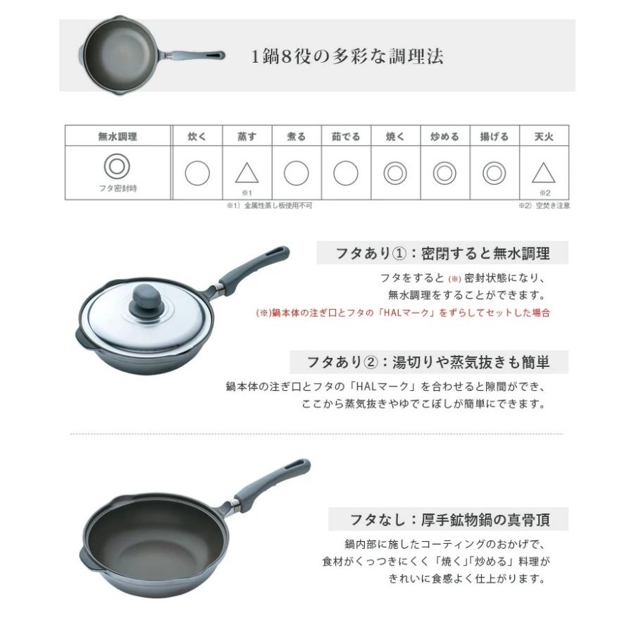 HAL Series 無水鍋 ホームパンらいと（ガス火専用） （26cm 5合炊 日本
